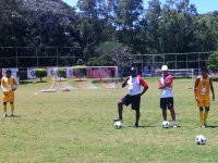 Vitória definido para enfrentar o Palmeiras na Copa do Brasil